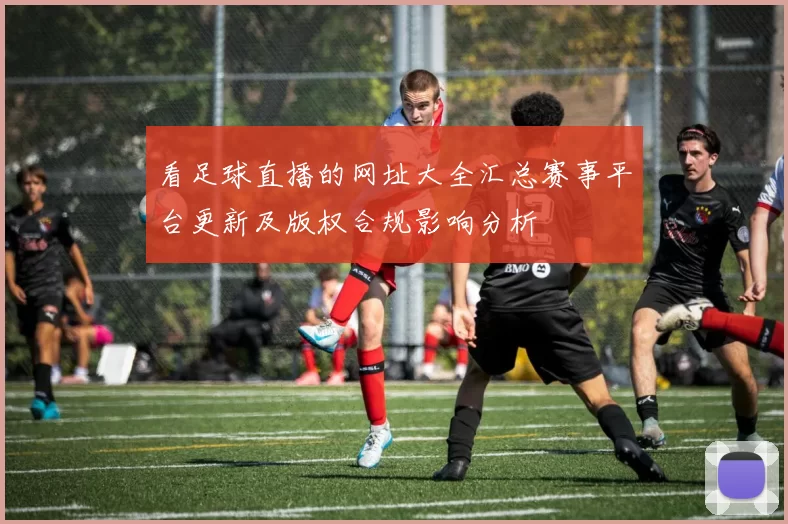 看足球直播的网址大全汇总赛事平台更新及版权合规影响分析