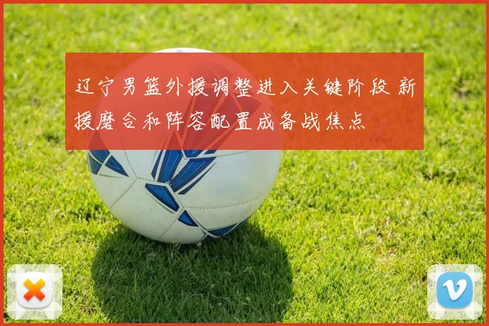 辽宁男篮外援调整进入关键阶段 新援磨合和阵容配置成备战焦点