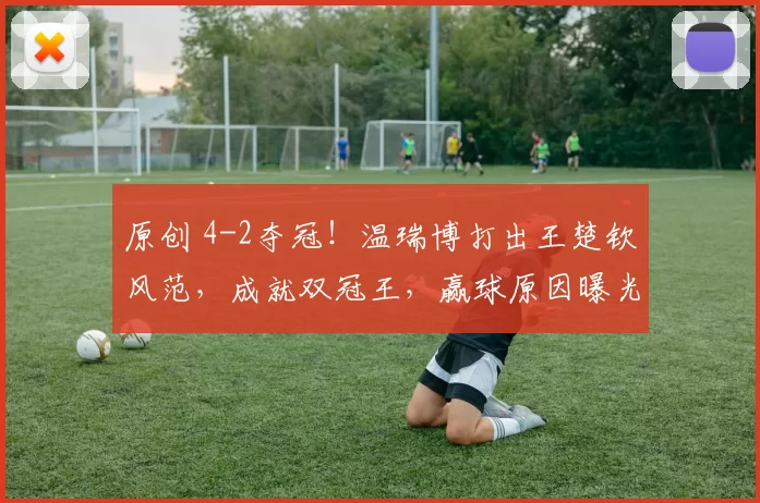 原创 4-2夺冠！温瑞博打出王楚钦风范，成就双冠王，赢球原因曝光，他真该上世乒赛