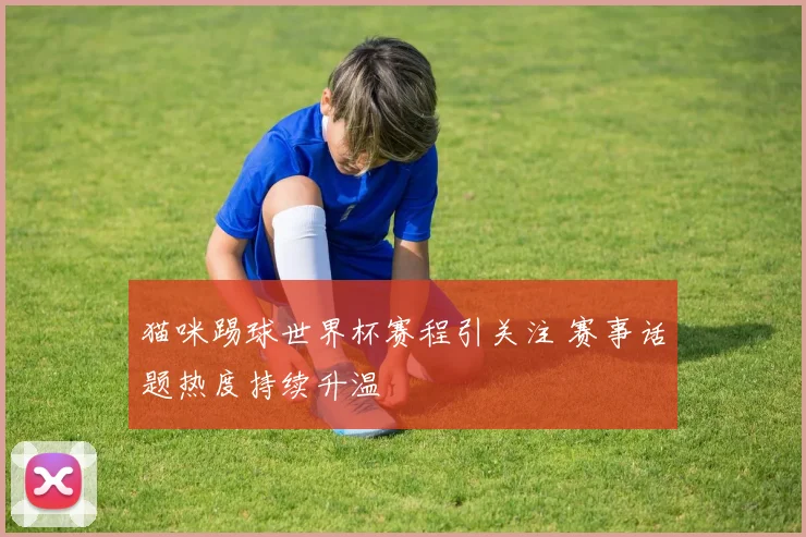 猫咪踢球世界杯赛程引关注 赛事话题热度持续升温